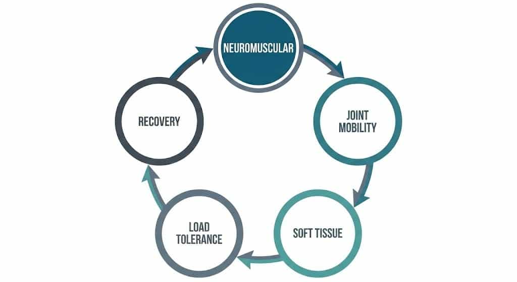 Diagram of 5 pillars of functional longevity